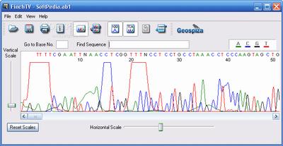 FinchTV 1.4 DNA sequence